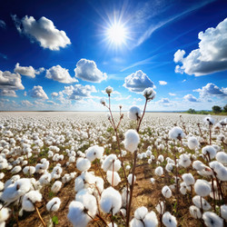 Similar image 22410452