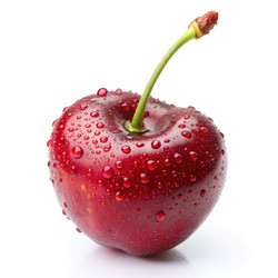 Similar image 22403077