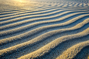 Similar image 22454715