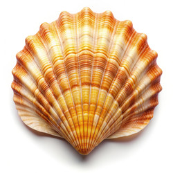 Similar image 22460214