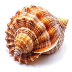 Similar image 22474573