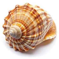 Similar image 22474588