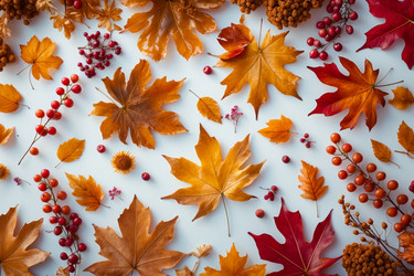 Similar image 22418213