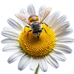 Similar image 22456217