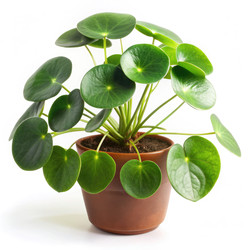 Similar image 22403112