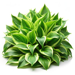 Similar image 22403126