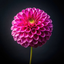 Similar image 22454721