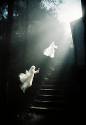 Similar image 22468998