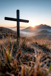 Similar image 22419534