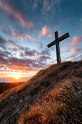 Similar image 22419535