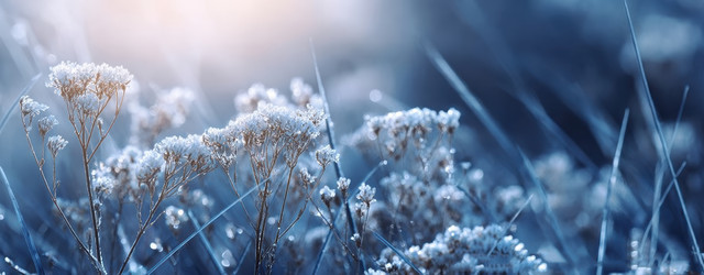 Similar image 22419541