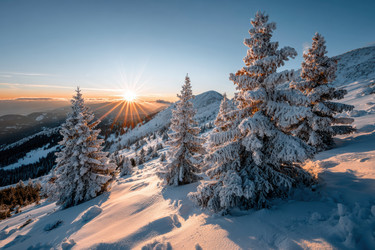 Similar image 22419543