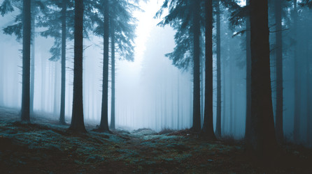 Similar image 22419633