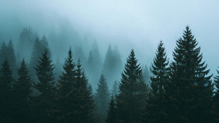 Similar image 22419634