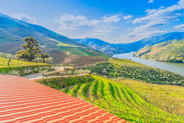 Similar image 22419657