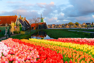 Similar image 22419667