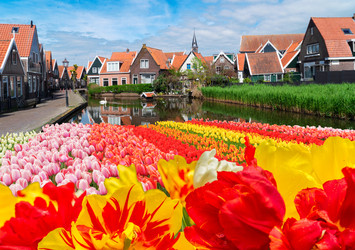 Similar image 22419668