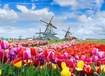 Similar image 22419669