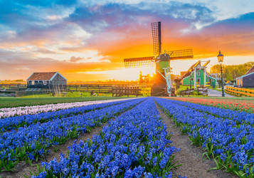 Similar image 22419672