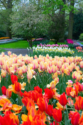 Similar image 22419674