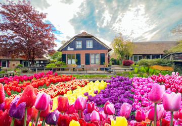 Similar image 22419675