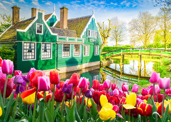 Similar image 22419676