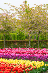 Similar image 22419677