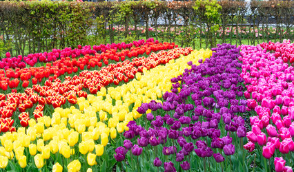 Similar image 22419678