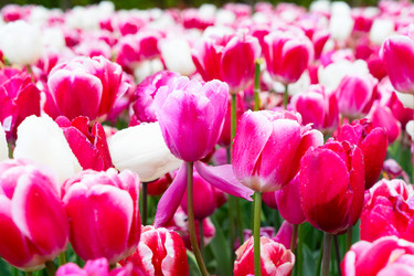 Similar image 22419679