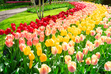 Similar image 22419682