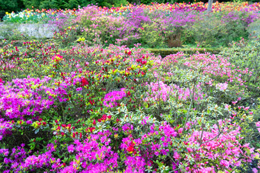 Similar image 22419683