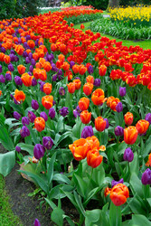 Similar image 22419684