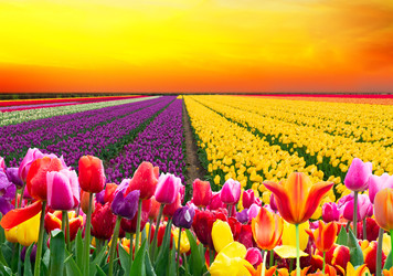 Similar image 22419685