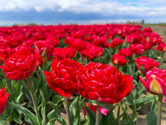 Similar image 22419731