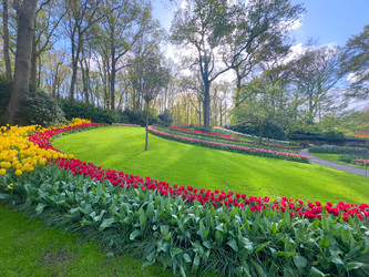 Similar image 22419733