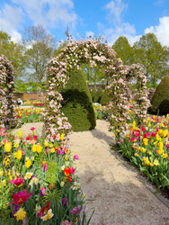 Similar image 22419735