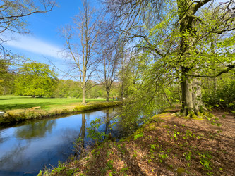 Similar image 22419736