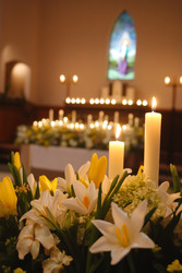 Similar image 22419983