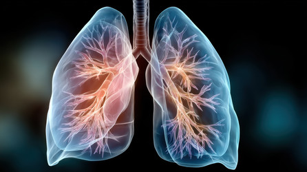 Similar image 22420012