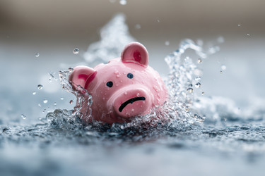 Similar image 22420044