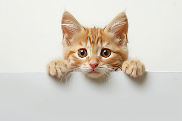 Similar image 22420091