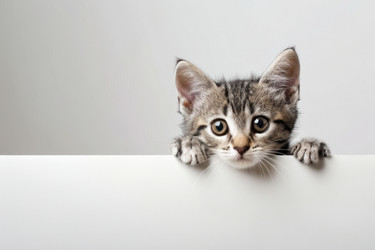 Similar image 22420092