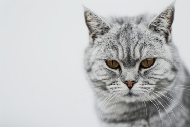 Similar image 22420097