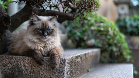 Similar image 22420103