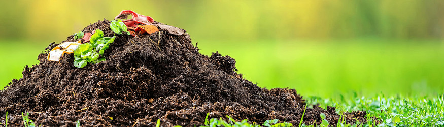 Similar image 22420201