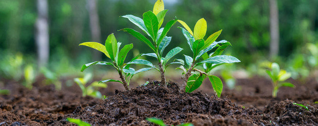 Similar image 22420211