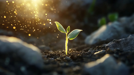 Similar image 22420218