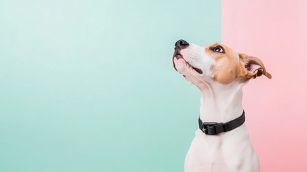 Similar image 22420294