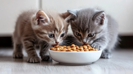 Similar image 22420296