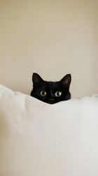 Similar image 22420335